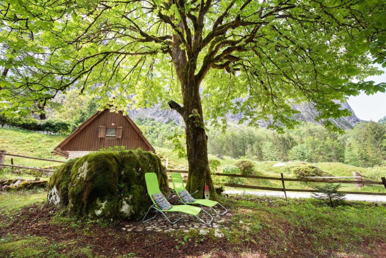 הוילה טרנטה Fairy Tale House מראה חיצוני תמונה